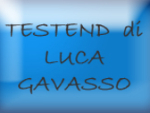 Testend  Di Luca Gavasso
