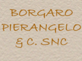 Borgaro Pierangelo & C. Snc